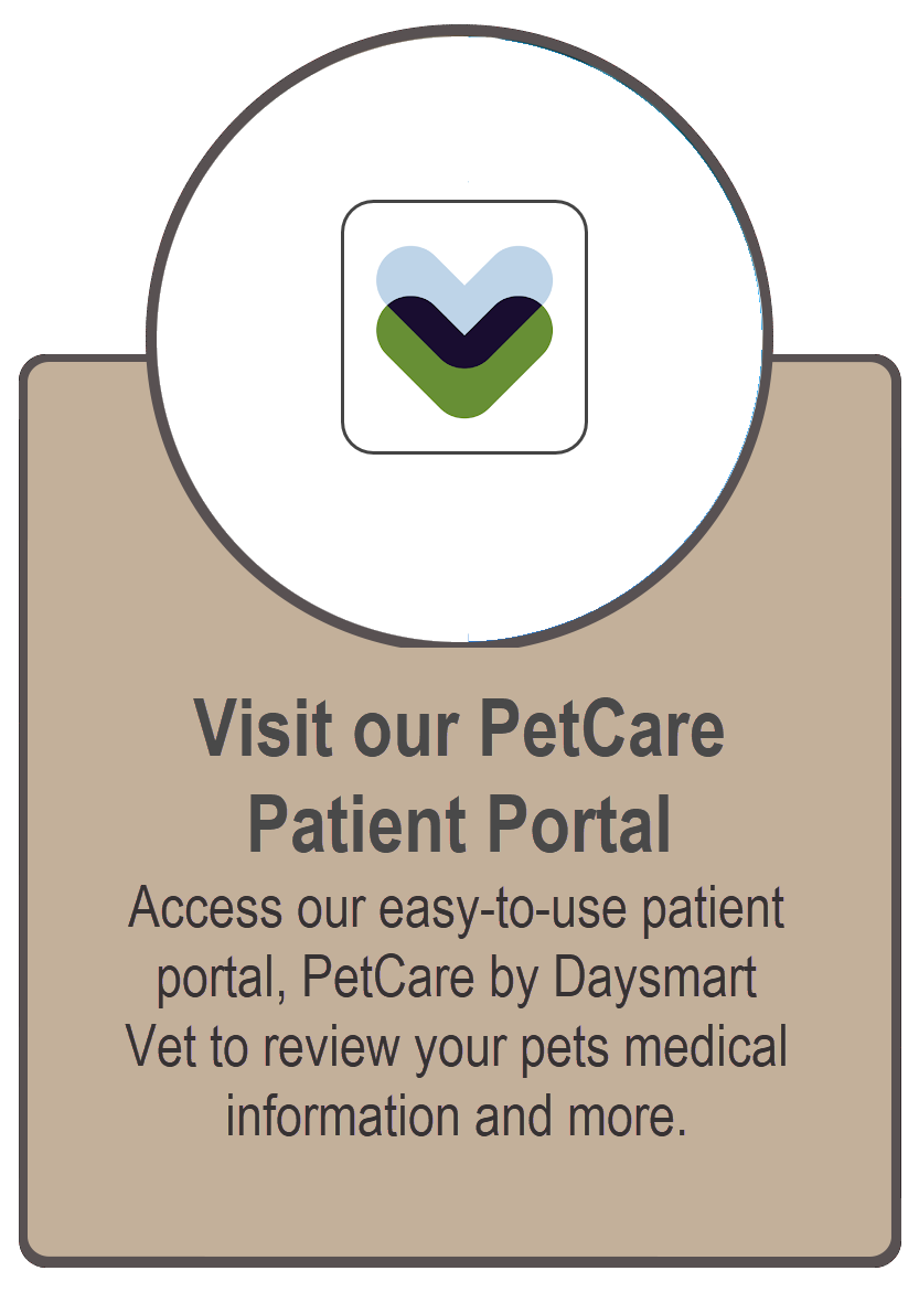 Visit our PetCare Patient Portal by DaySmart Vet