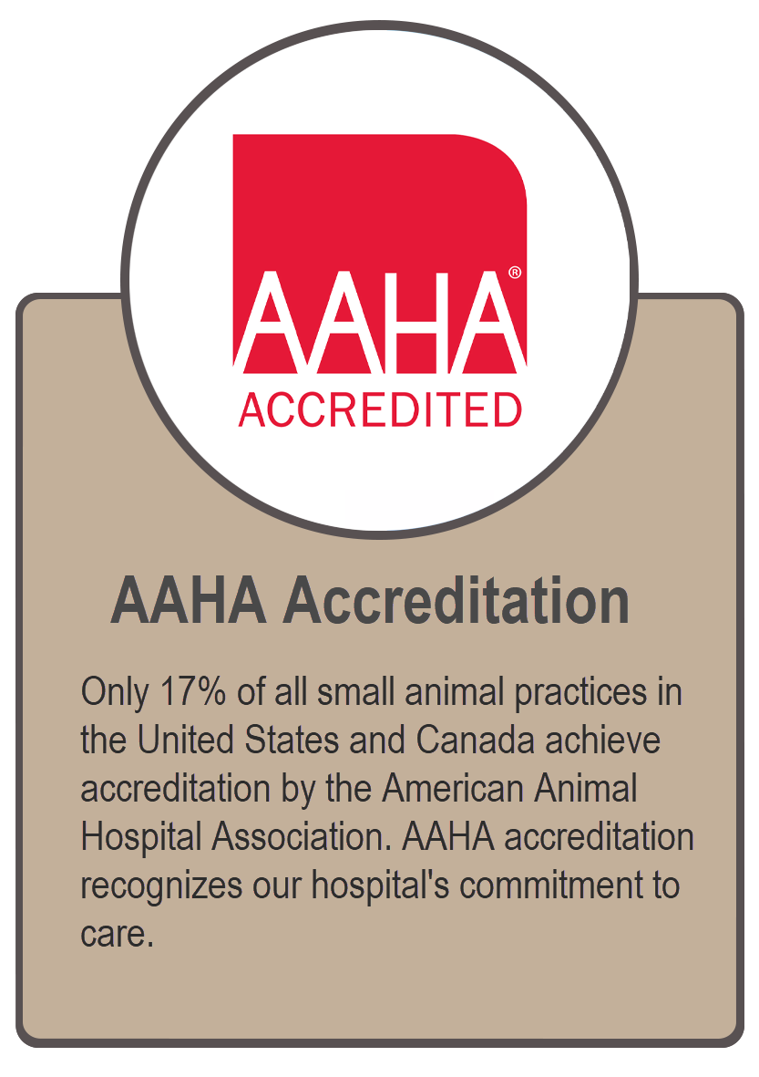 AAHA Accreditation